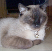 He's Tired... as usual! <g>